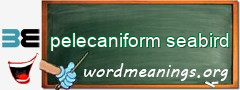 WordMeaning blackboard for pelecaniform seabird